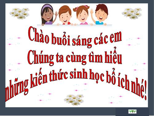 Bài 19. Tuần hoàn máu (tiếp theo)