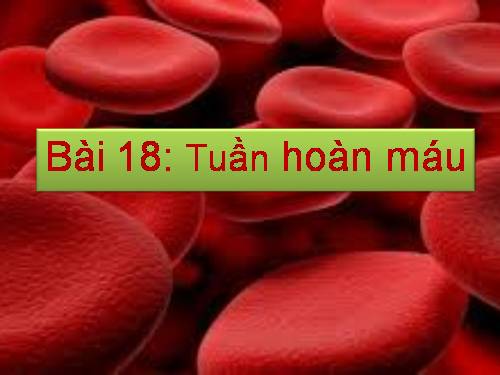 Bài 18. Tuần hoàn máu