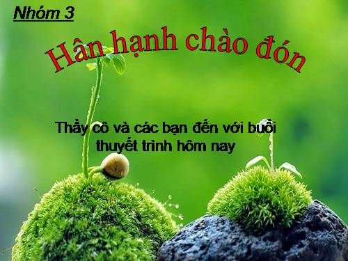 Bài 16. Tiêu hoá ở động vật (tiếp theo)