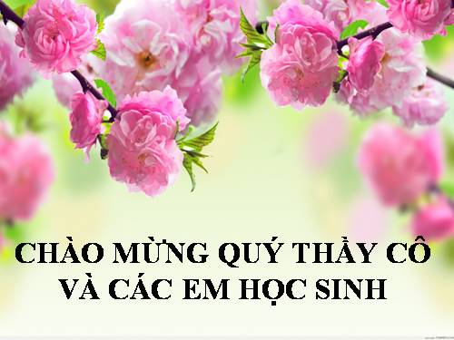 Bài 12. Hô hấp ở thực vật