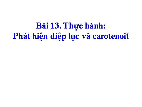 Bài 13. Thực hành: Phát hiện diệp lục và carôtenôit