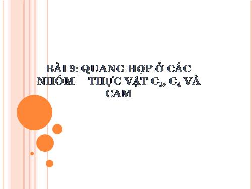 Bài 9. Quang hợp ở các nhóm thực vật C3, C4 và CAM