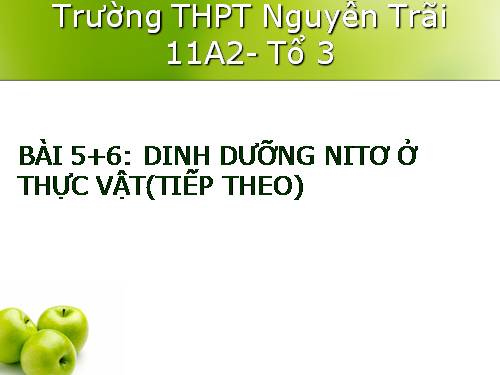 Bài 6. Dinh dưỡng nitơ ở thực vật (tiếp theo)