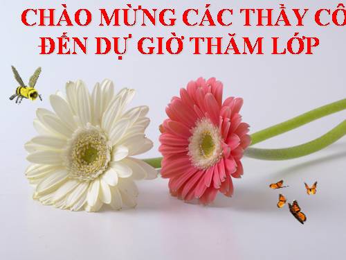 Bài 8. Quang hợp ở thực vật