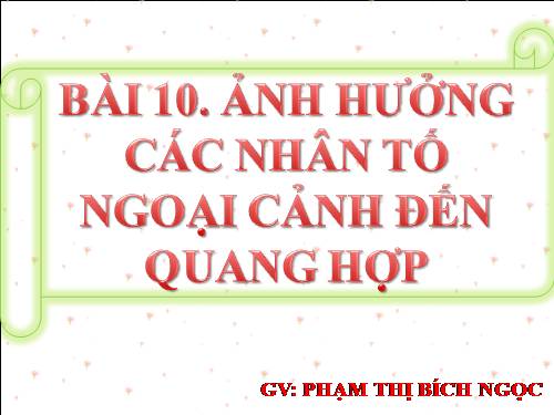 Bài 10. Ảnh hưởng của các nhân tố ngoại cảnh đến quang hợp