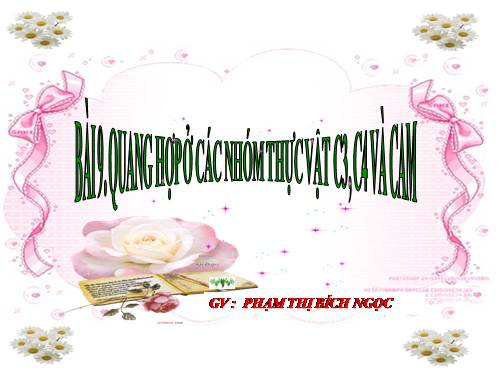 Bài 9. Quang hợp ở các nhóm thực vật C3, C4 và CAM