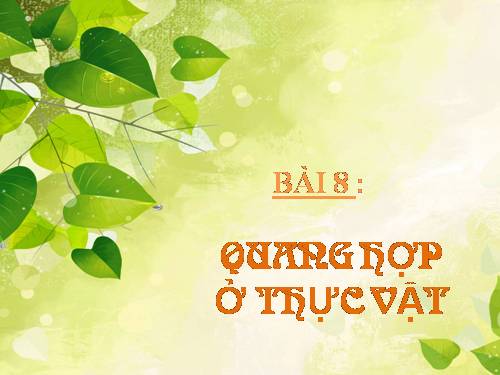 Bài 8. Quang hợp ở thực vật