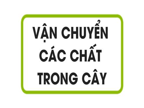 Bài 2. Vận chuyển các chất trong cây