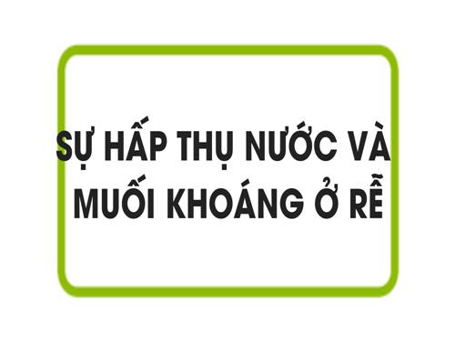 Bài 1. Sự hấp thụ nước và muối khoáng ở rễ