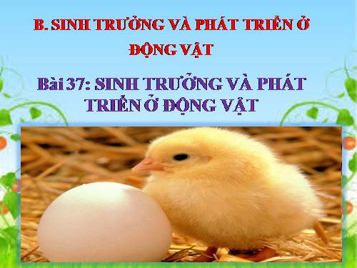 Bài 37. Sinh trưởng và phát triển ở động vật