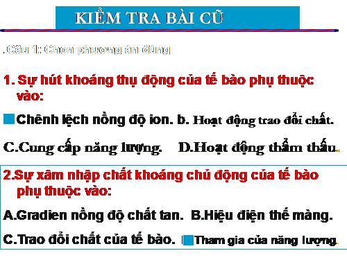 Bài 2. Vận chuyển các chất trong cây