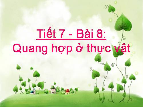 Bài 8. Quang hợp ở thực vật