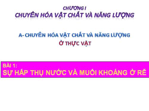 Bài 1. Sự hấp thụ nước và muối khoáng ở rễ