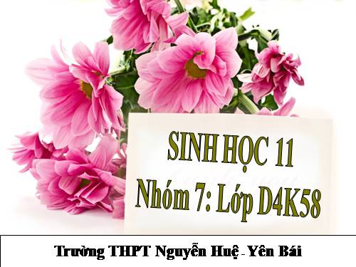 Bài 42. Sinh sản hữu tính ở thực vật