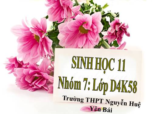 Bài 41. Sinh sản vô tính ở thực vật