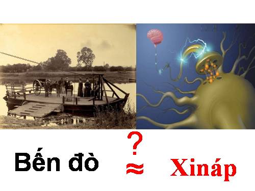 Bài 30. Truyền tin qua xináp