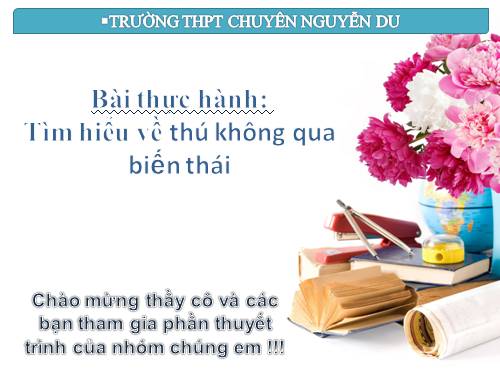 Bài 37. Sinh trưởng và phát triển ở động vật