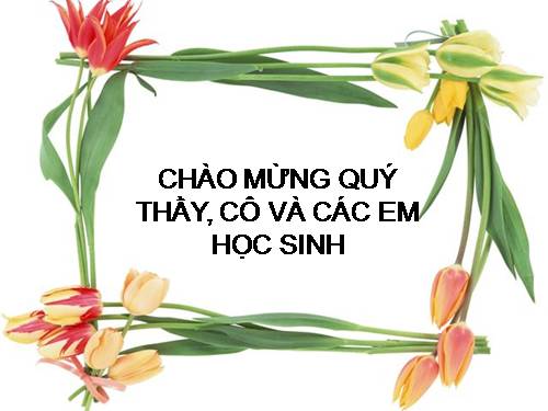 Bài 44. Sinh sản vô tính ở động vật