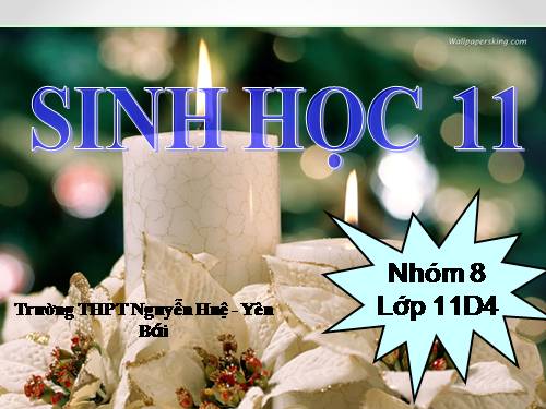 Bài 35. Hoocmôn thực vật