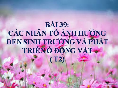 Bài 38. Các nhân tố ảnh hưởng đến sinh trưởng và phát triển ở động vật