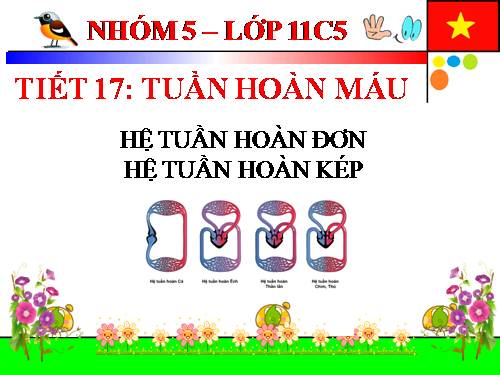 Bài 18. Tuần hoàn máu