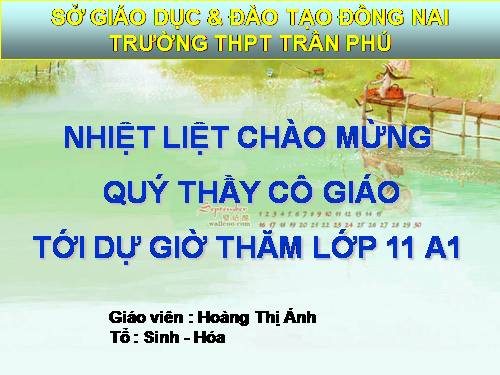 Bài 36. Phát triển ở thực vật có hoa