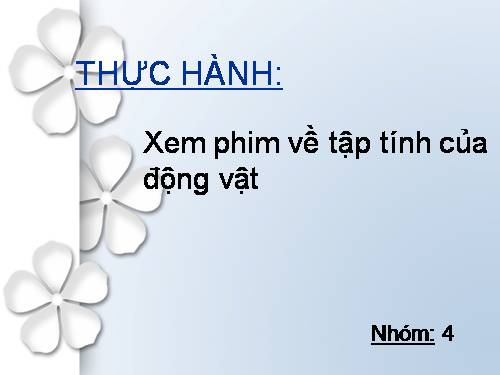 Bài 33. Thực hành: Xem phim về tập tính của động vật