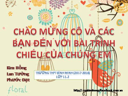 Bài 36. Phát triển ở thực vật có hoa