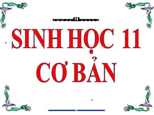 Bài 34. Sinh trưởng ở thực vật