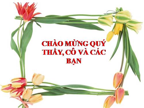 Bài 44. Sinh sản vô tính ở động vật