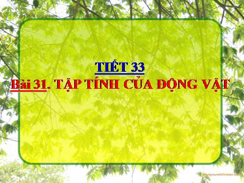 Bài 31. Tập tính của động vật