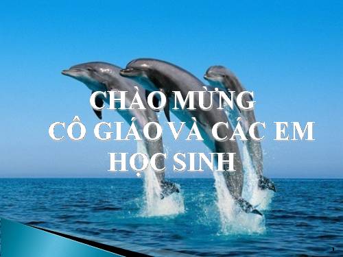 Bài 31. Tập tính của động vật