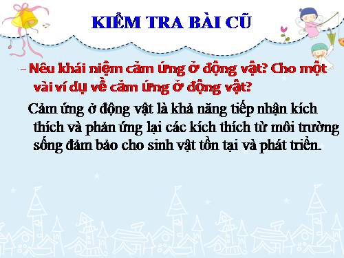 Bài 27. Cảm ứng ở động vật (tiếp theo)