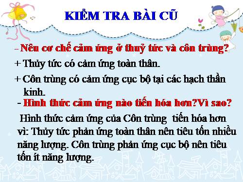 Bài 27. Cảm ứng ở động vật (tiếp theo)