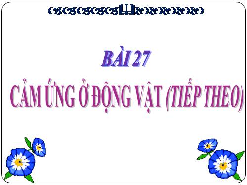 Bài 26. Cảm ứng ở động vật