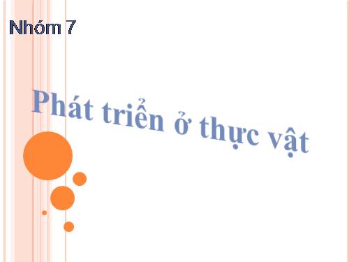 Bài 36. Phát triển ở thực vật có hoa