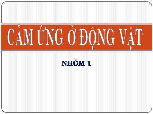 Bài 31. Tập tính của động vật