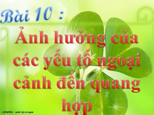 Bài 10. Ảnh hưởng của các nhân tố ngoại cảnh đến quang hợp