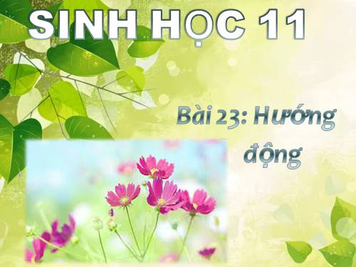 Bài 23. Hướng động