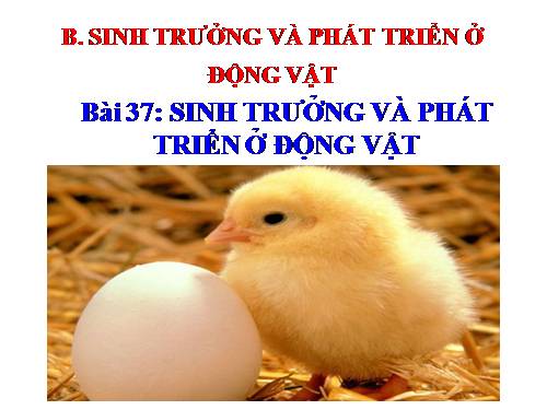 Bài 37. Sinh trưởng và phát triển ở động vật