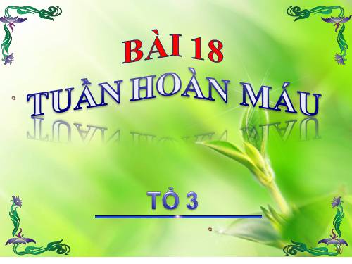 Bài 19. Tuần hoàn máu (tiếp theo)