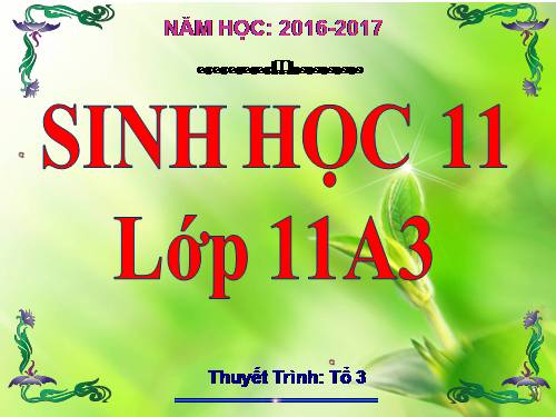 Bài 1. Sự hấp thụ nước và muối khoáng ở rễ