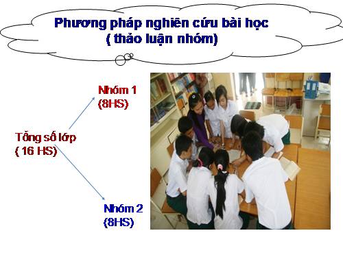 Bài 26. Cảm ứng ở động vật