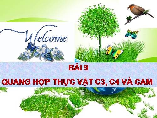 Bài 9. Quang hợp ở các nhóm thực vật C3, C4 và CAM