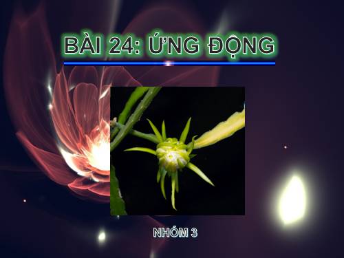 Bài 24. Ứng động