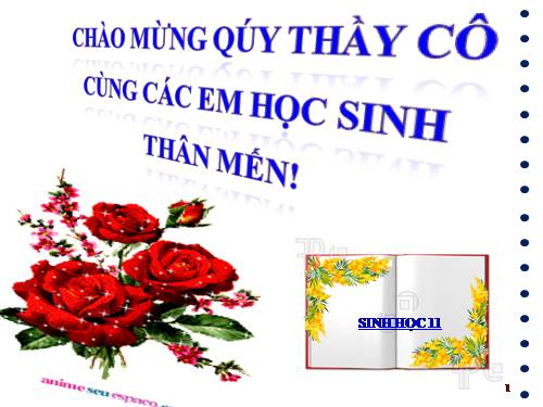 Bài 8. Quang hợp ở thực vật