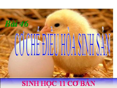 Bài 46. Cơ chế điều hòa sinh sản