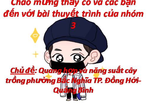 Quang hợp và năng suất cây trồng phường Bắc Nghĩa - TP. Đồng Hới- Quảng Bình