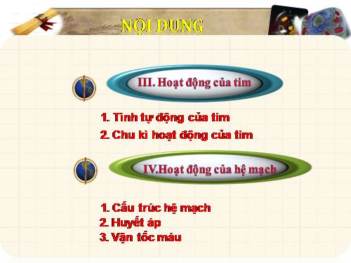 Bài 19. Tuần hoàn máu (tiếp theo)