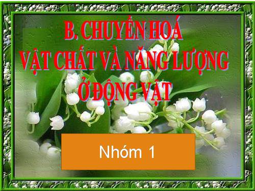 Bài 15. Tiêu hoá ở động vật